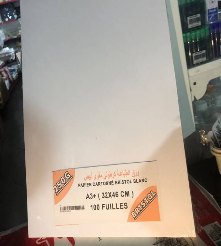 Papier Cartonné Bristol Blanc A3+ – 250G – 100 Feuilles